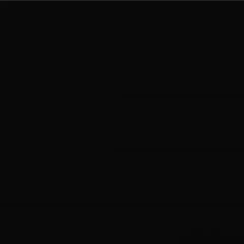 RAL 9005 Гладкий Мат 11017