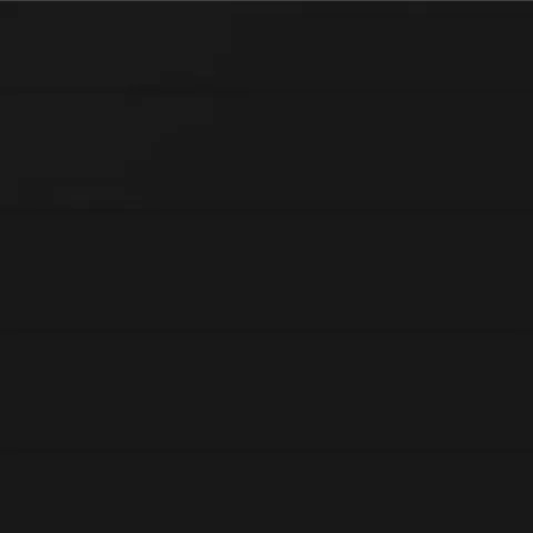 RAL 9011 Гладкий Мат 11042