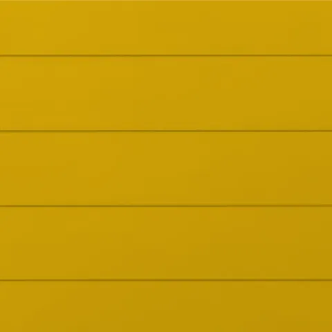 RAL 1004 Муар 10024