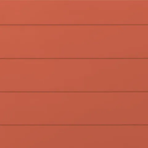 RAL 2012 Гладкий Мат 10217