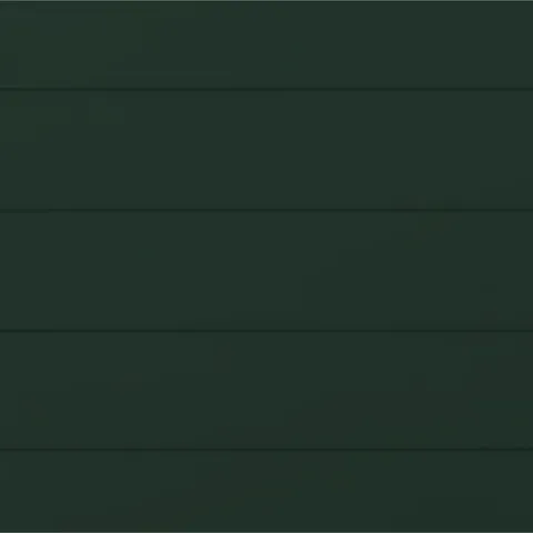 RAL 6009 Гладкий Мат 10577