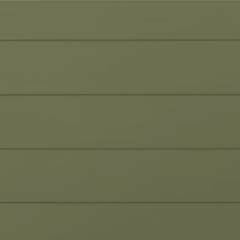 RAL 6013 Гладкий Мат 10597