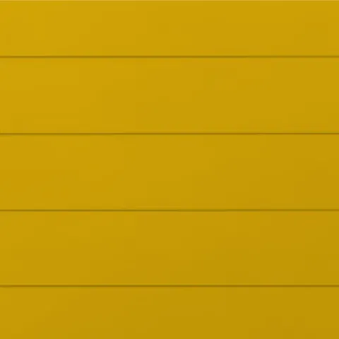 RAL 1004 Гладкий Глянец 10021