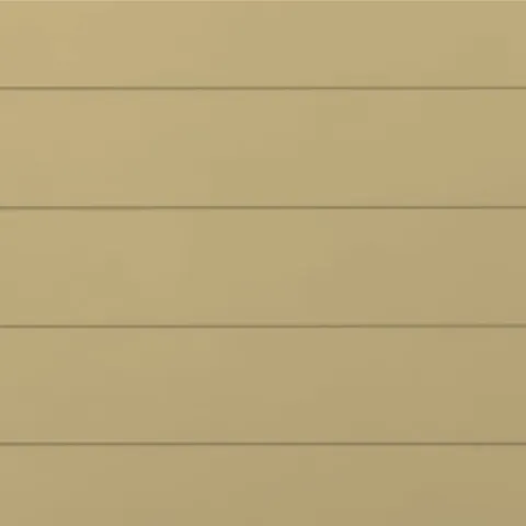 RAL 1001 Муар 10009