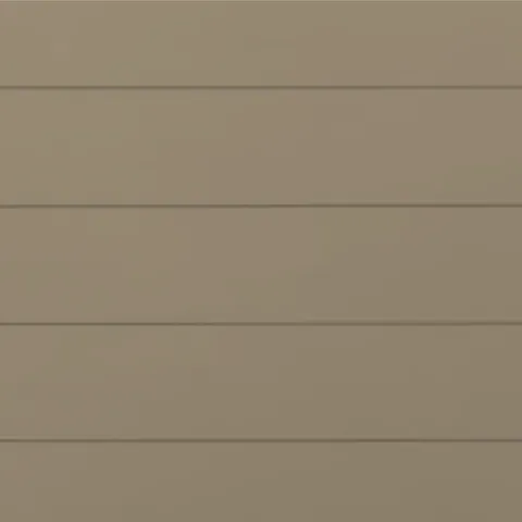 RAL 1019 Гладкий Мат 10087