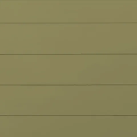 RAL 1020 Гладкий Глянец 10091