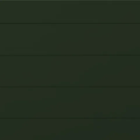 RAL 6007 Гладкий Глянец 10566