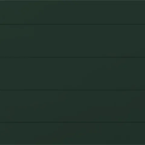 RAL 6009 Гладкий Глянец 10576