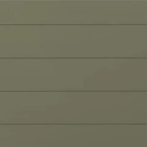 RAL 7002 Гладкий Глянец 10711